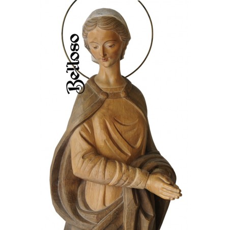 VIRGEN MOD-